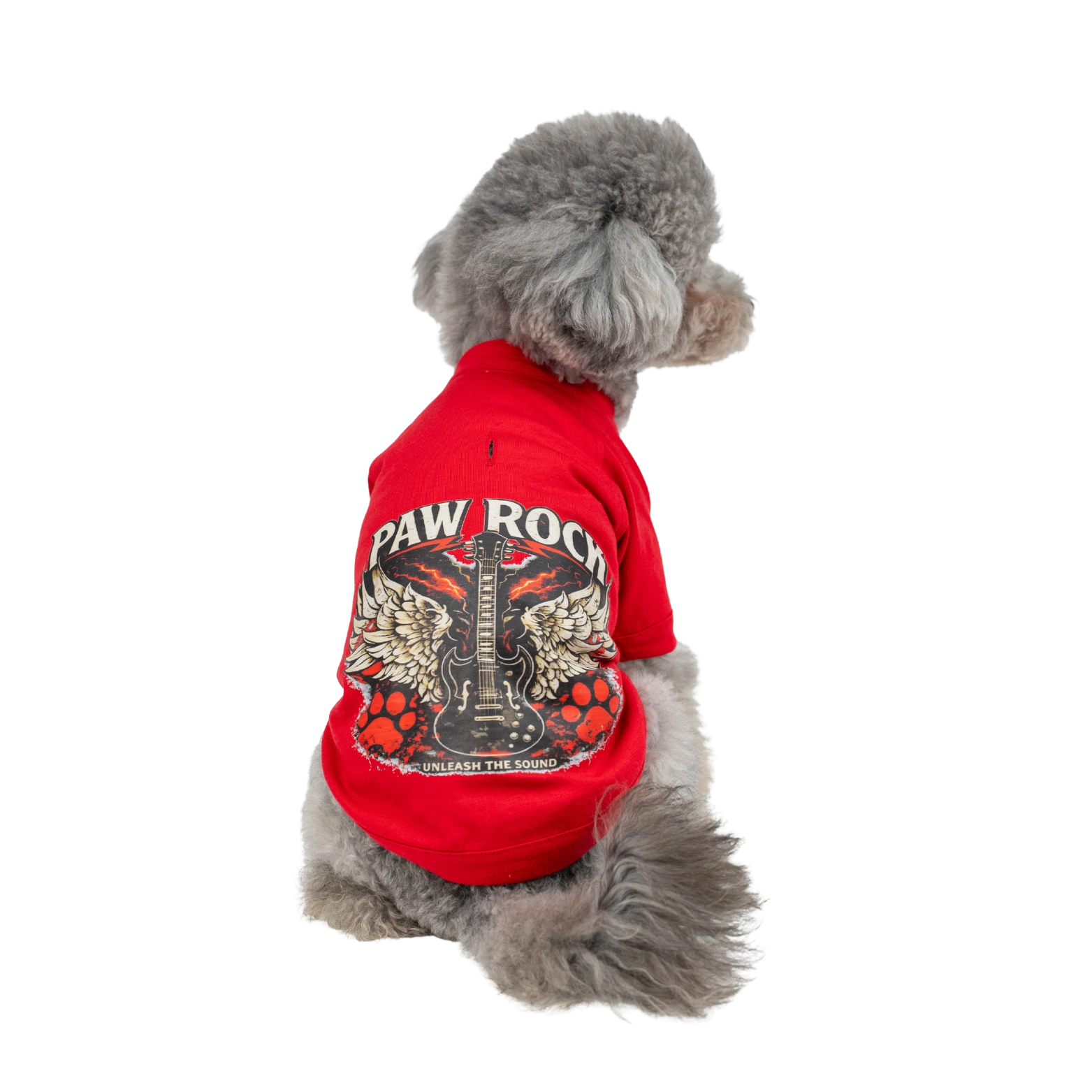 PAW ROCK T-SHIRT - Görsel 4