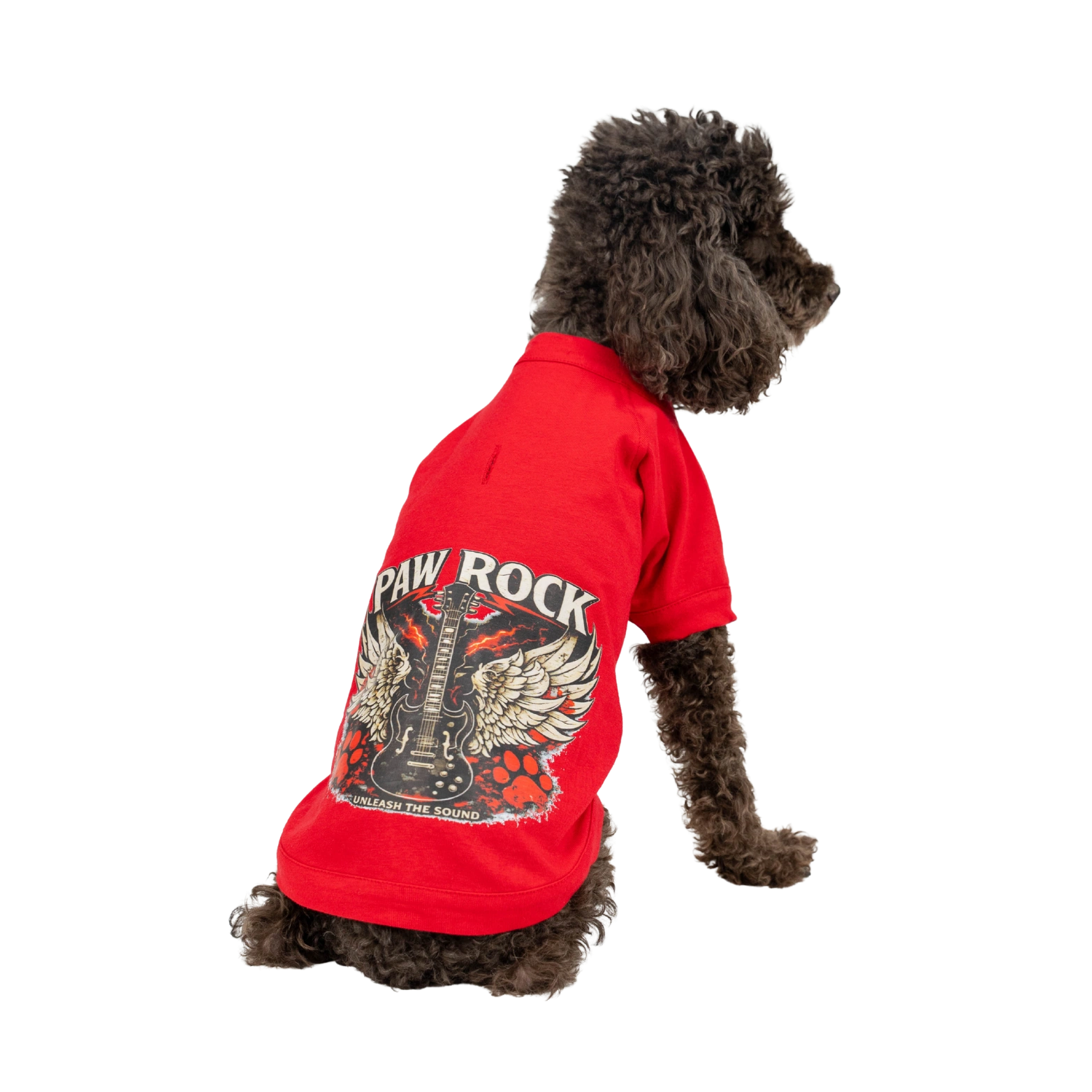 PAW ROCK T-SHIRT - Görsel 3