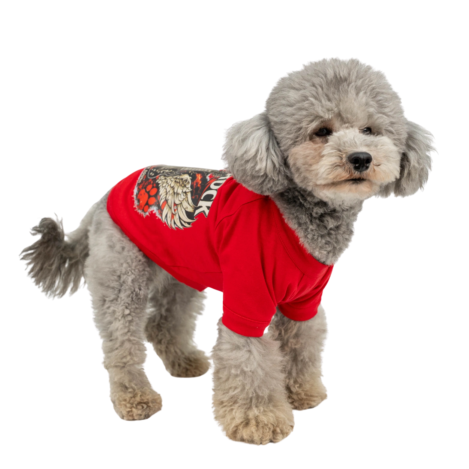 PAW ROCK T-SHIRT - Görsel 2