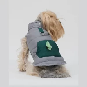 Maxdesign