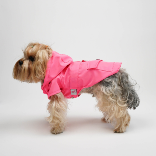 PawJoy MONT - Görsel 12