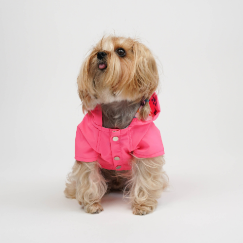 PawJoy MONT - Görsel 11