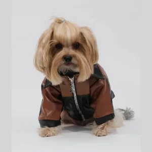 Maxdesign