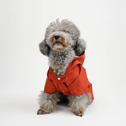 PawJoy MONT - Görsel 7
