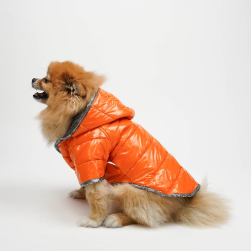 Moncler Mont Turuncu