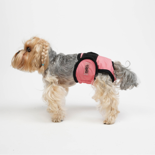 DİŞİ KÖPEKLER İÇİN KÜLOT