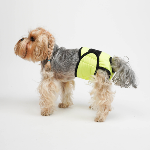DİŞİ KÖPEKLER İÇİN KÜLOT - Görsel 2