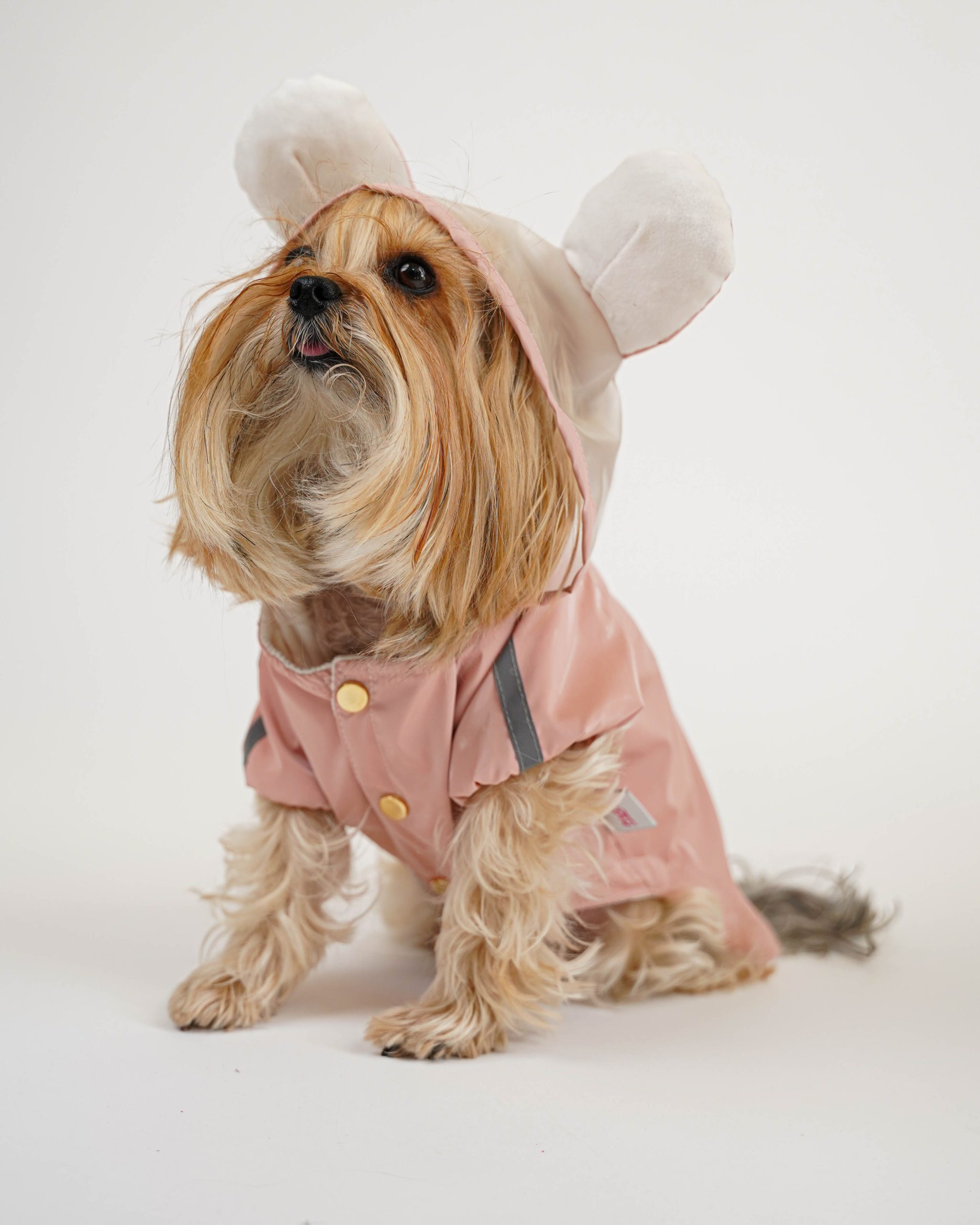Maxie Bunny Yağmurluk - Görsel 3