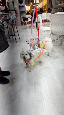 Peti izmir2026 (1)